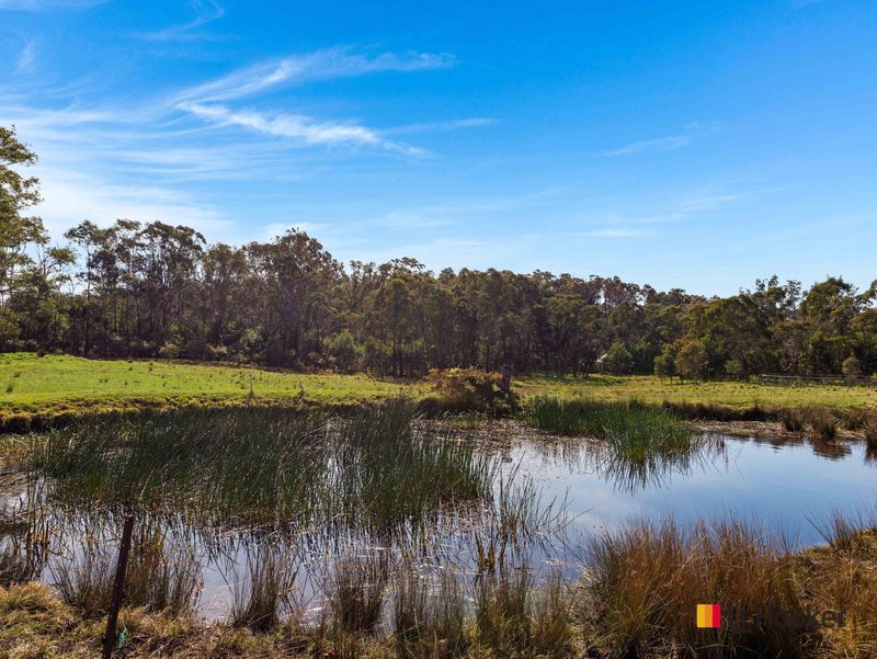 Photo - 1053-1055 Princes Highway, Mogo NSW 2536 - Image 19