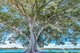 Photo - 105/3 Marco Polo Drive, Mandurah WA 6210 - Image 33