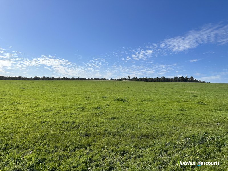 Photo - 1055 Junction Road, Perup WA 6258 - Image 11