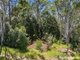 Photo - 1055 Pomona Kin Kin Road, Kin Kin QLD 4571 - Image 23