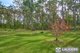 Photo - 1057 Lansdowne Road, Melinga NSW 2430 - Image 16