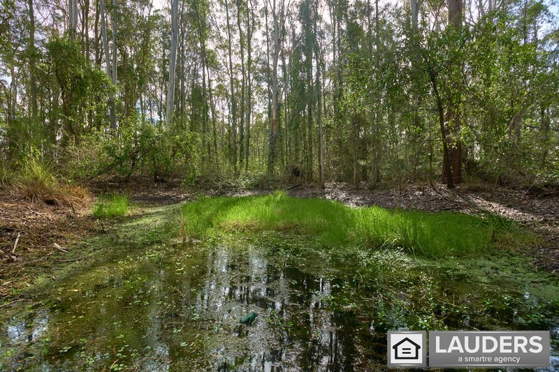Photo - 1057 Lansdowne Road, Melinga NSW 2430 - Image 17