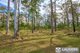 Photo - 1057 Lansdowne Road, Melinga NSW 2430 - Image 23