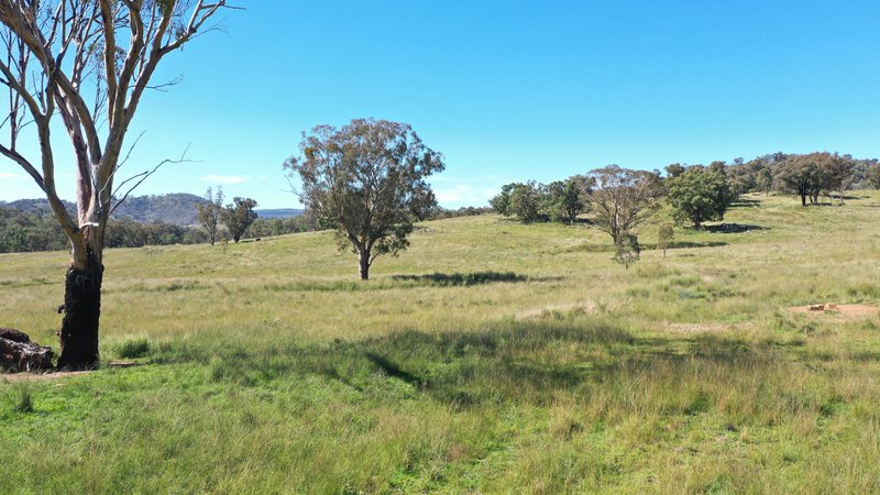 1058 Old Bundarra Road, Barraba NSW 2347