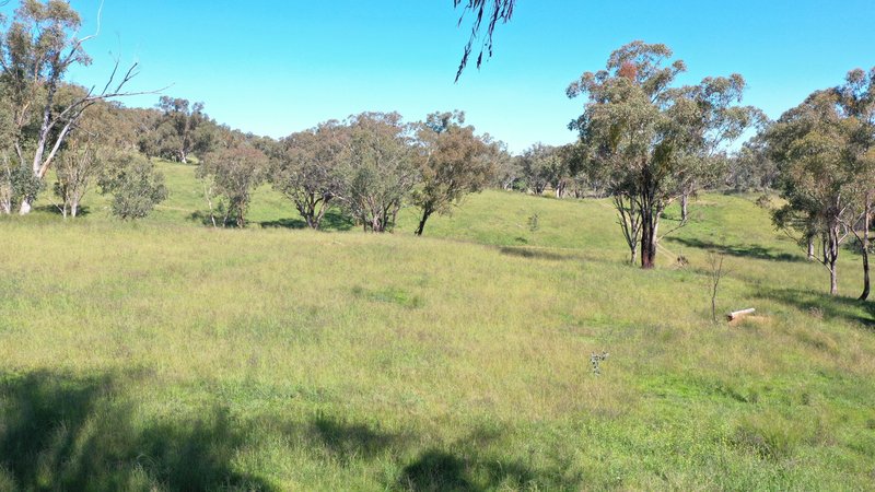 Photo - 1058 Old Bundarra Road, Barraba NSW 2347 - Image 3