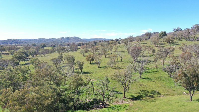 Photo - 1058 Old Bundarra Road, Barraba NSW 2347 - Image 5