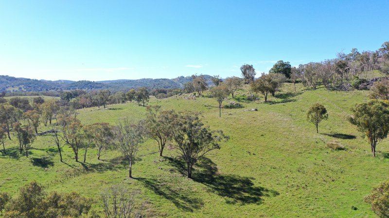 Photo - 1058 Old Bundarra Road, Barraba NSW 2347 - Image 6