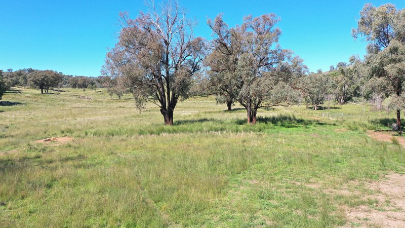 Photo - 1058 Old Bundarra Road, Barraba NSW 2347 - Image 8