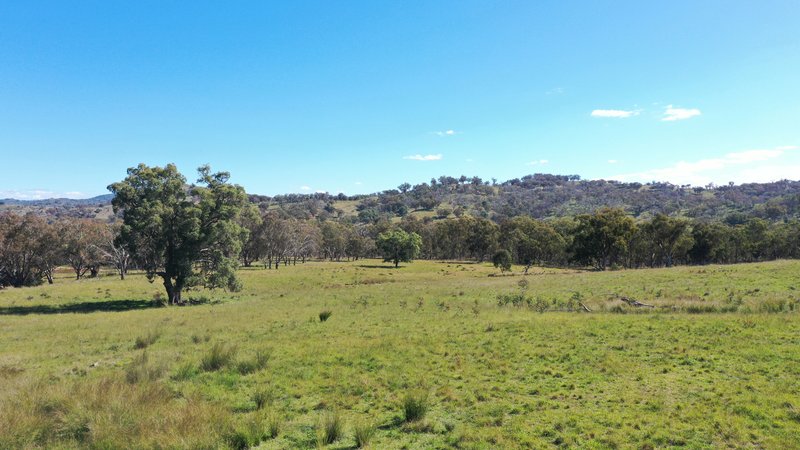 Photo - 1058 Old Bundarra Road, Barraba NSW 2347 - Image 9