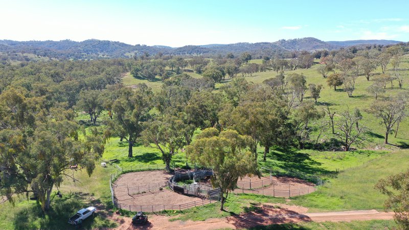 Photo - 1058 Old Bundarra Road, Barraba NSW 2347 - Image 16