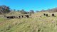 Photo - 1058 Old Bundarra Road, Barraba NSW 2347 - Image 18