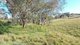 Photo - 1058 Old Bundarra Road, Barraba NSW 2347 - Image 21