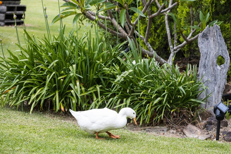 Photo - 105b Croziers Road, Jaspers Brush NSW 2535 - Image 20