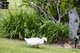 Photo - 105b Croziers Road, Jaspers Brush NSW 2535 - Image 20