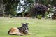 Photo - 105b Croziers Road, Jaspers Brush NSW 2535 - Image 21