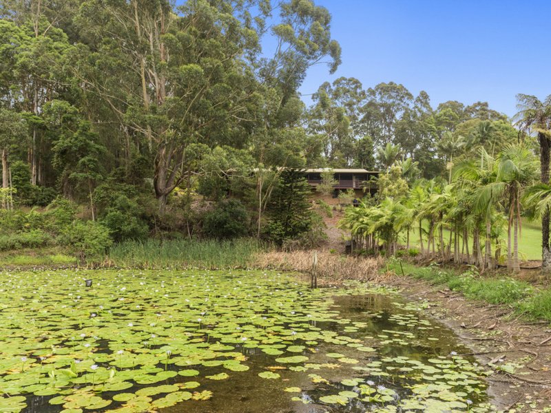 Photo - 105C Finlays Road, Korora NSW 2450 - Image 23