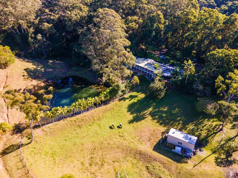 Photo - 105C Finlays Road, Korora NSW 2450 - Image 31