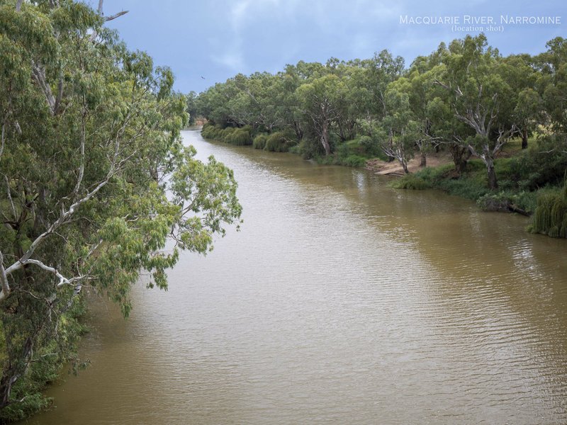 Photo - 106 Algalah Street, Narromine NSW 2821 - Image 3