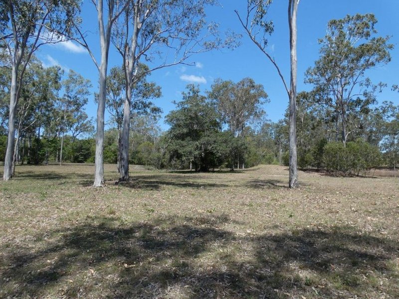 Photo - 106 Bischoffs Road, Euleilah QLD 4674 - Image 17