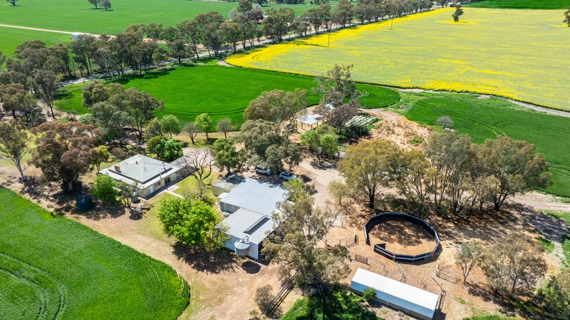 Photo - 106 Cornishtown Road, Rutherglen VIC 3685 - Image 2