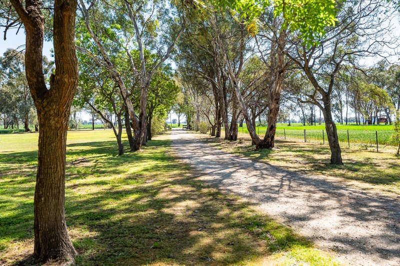 Photo - 106 Cornishtown Road, Rutherglen VIC 3685 - Image 6