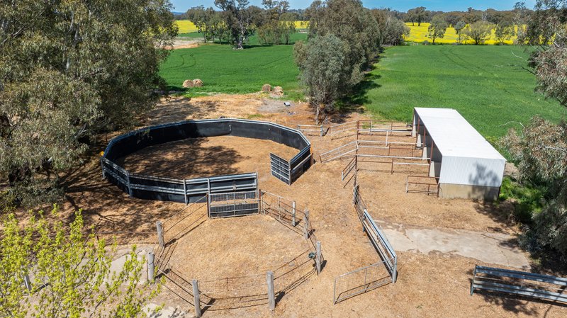 Photo - 106 Cornishtown Road, Rutherglen VIC 3685 - Image 8