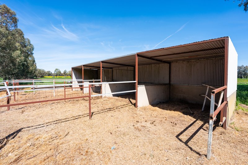 Photo - 106 Cornishtown Road, Rutherglen VIC 3685 - Image 10
