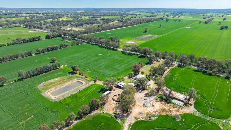 Photo - 106 Cornishtown Road, Rutherglen VIC 3685 - Image 11