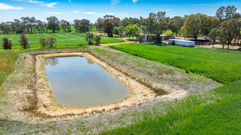 Photo - 106 Cornishtown Road, Rutherglen VIC 3685 - Image 12
