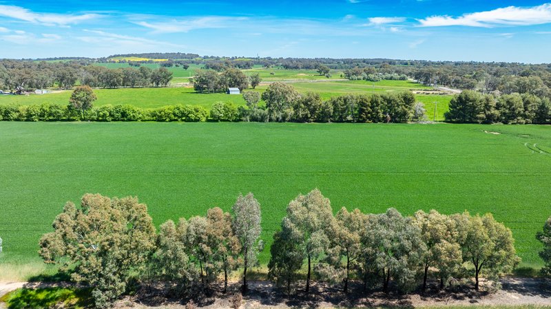Photo - 106 Cornishtown Road, Rutherglen VIC 3685 - Image 13