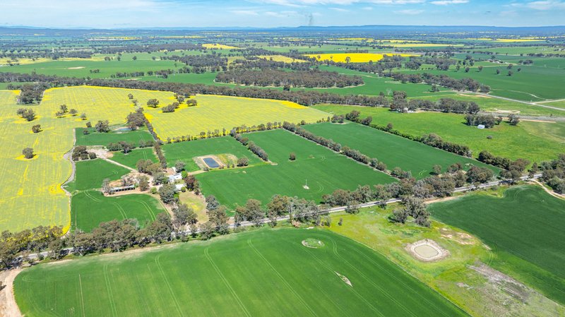 Photo - 106 Cornishtown Road, Rutherglen VIC 3685 - Image 15