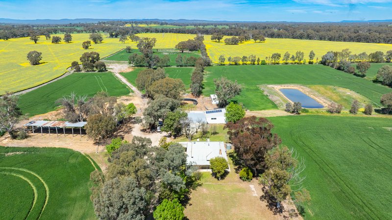 Photo - 106 Cornishtown Road, Rutherglen VIC 3685 - Image 17