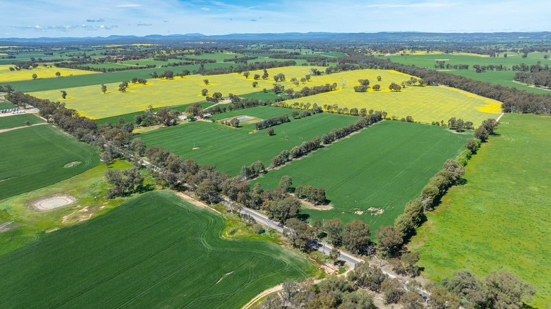 Photo - 106 Cornishtown Road, Rutherglen VIC 3685 - Image 22