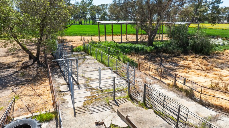 Photo - 106 Cornishtown Road, Rutherglen VIC 3685 - Image 24