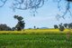 Photo - 106 Cornishtown Road, Rutherglen VIC 3685 - Image 26
