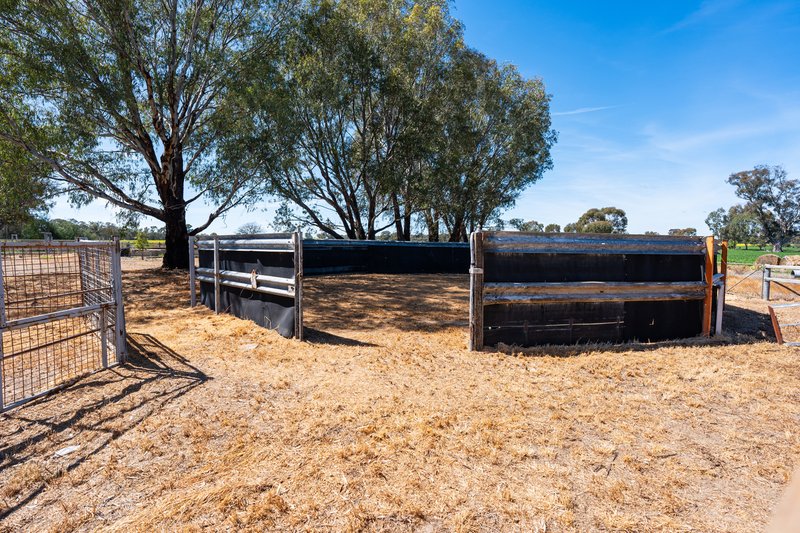 Photo - 106 Cornishtown Road, Rutherglen VIC 3685 - Image 30