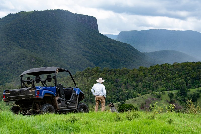 106 Gap Creek Road, Lamington QLD 4285