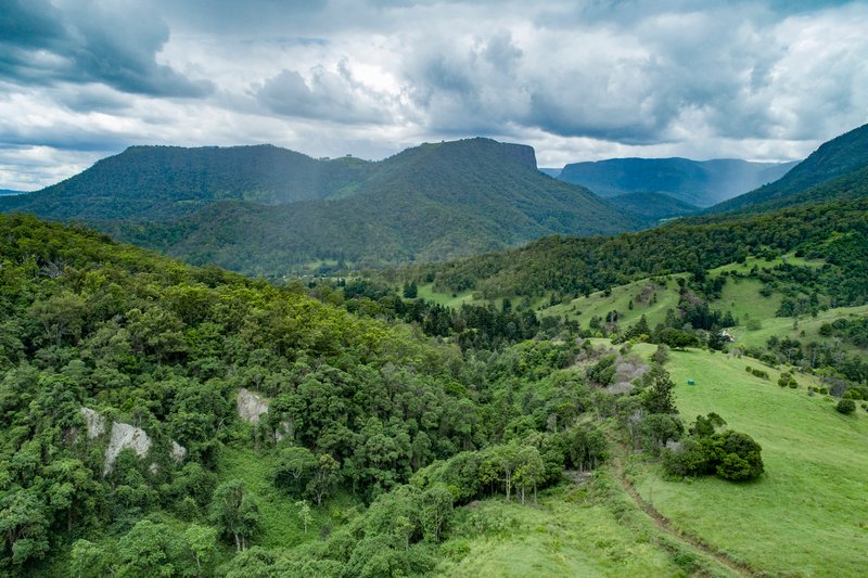 Photo - 106 Gap Creek Road, Lamington QLD 4285 - Image 9