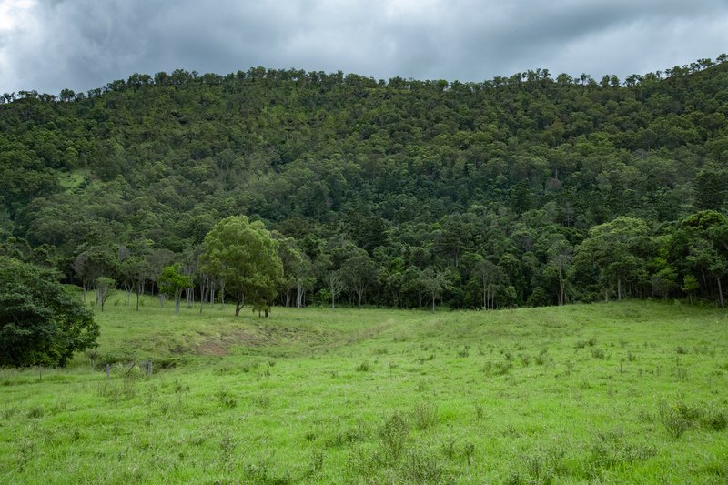 Photo - 106 Gap Creek Road, Lamington QLD 4285 - Image 11