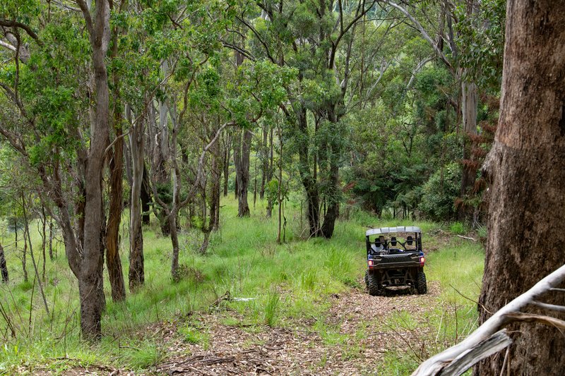 Photo - 106 Gap Creek Road, Lamington QLD 4285 - Image 24