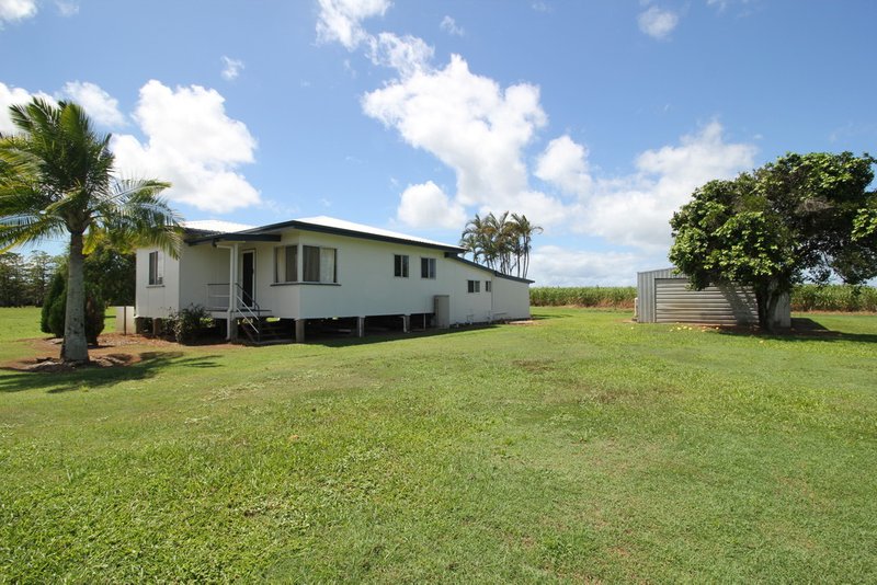 Photo - 106 Lucinda Road, Halifax QLD 4850 - Image 14