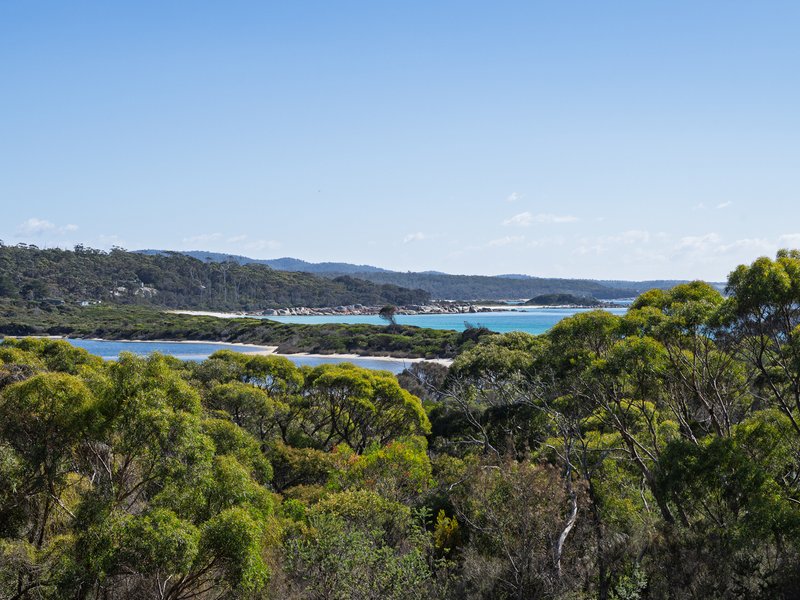 Photo - 106 Main Road, Binalong Bay TAS 7216 - Image 14