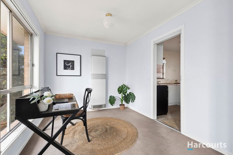 Photo - 106 Mccurdy Road, Herne Hill VIC 3218 - Image 4
