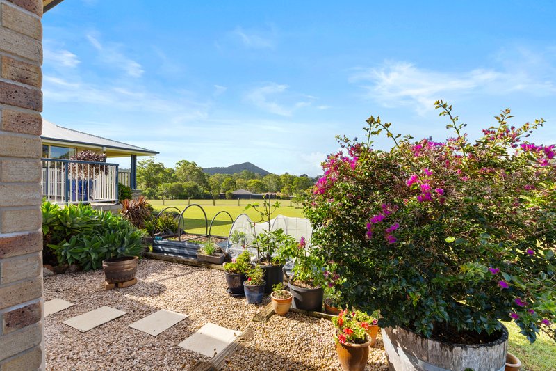 Photo - 106 Skyline Drive, Wingham NSW 2429 - Image 21