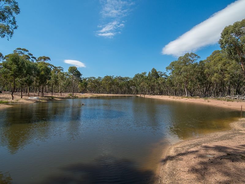 Photo - 106 Stubbo Road, Gulgong NSW 2852 - Image 4