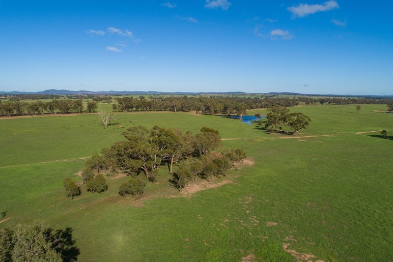 Photo - 106 Stubbo Road, Gulgong NSW 2852 - Image 18