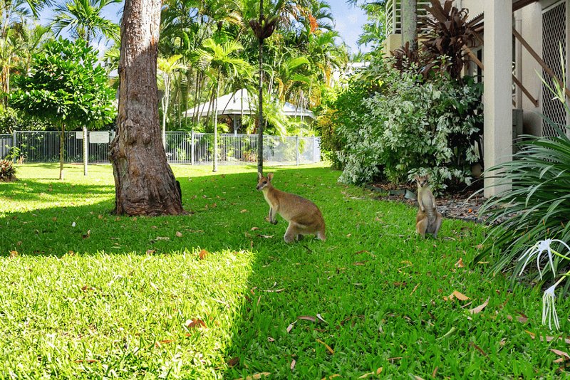 Photo - 106/2 Keem Street, Trinity Beach QLD 4879 - Image 8