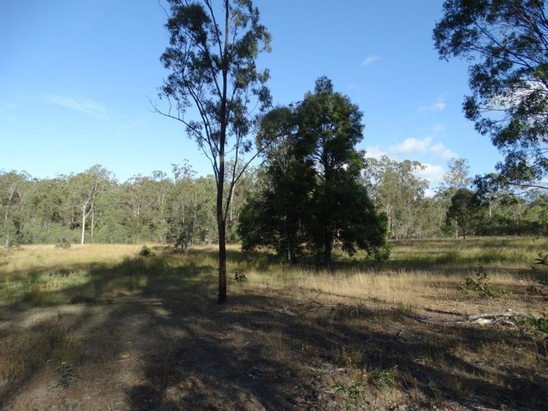 Photo - 1062 Monduran Road, Waterloo QLD 4673 - Image 21