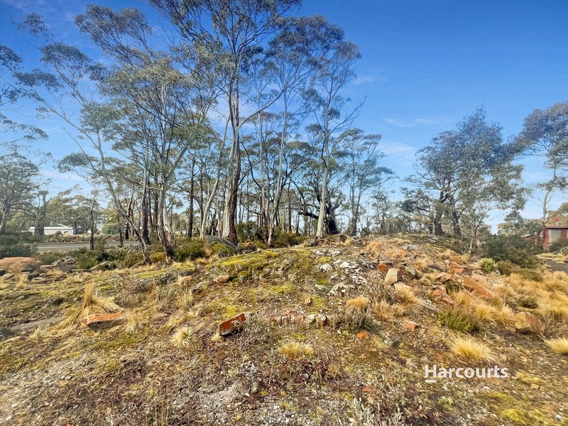 Photo - 10645 Highland Lakes Road, Doctors Point TAS 7304 - Image 12