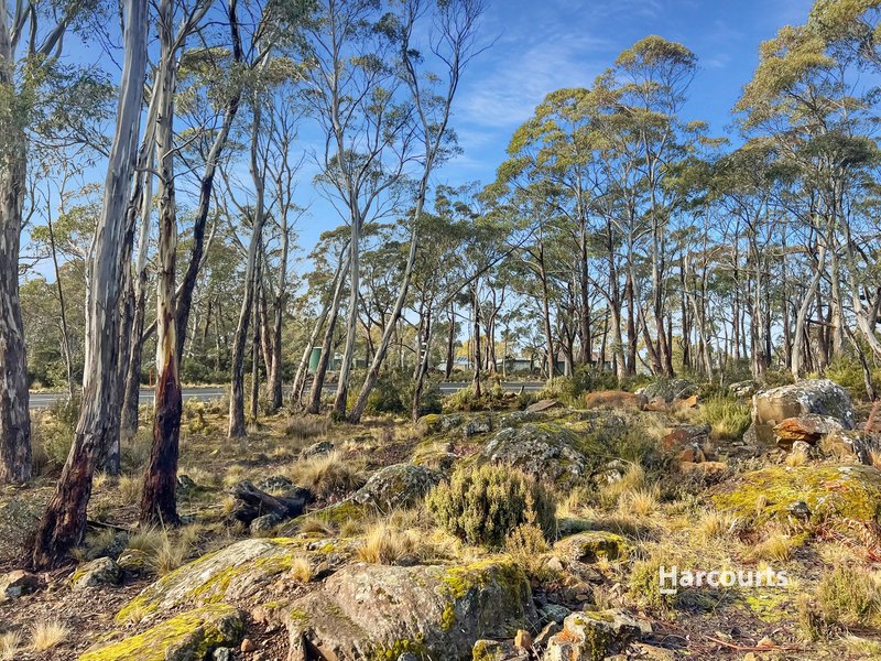 Photo - 10645 Highland Lakes Road, Doctors Point TAS 7304 - Image 13